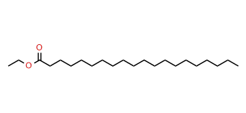 Ethyl eicosanoate